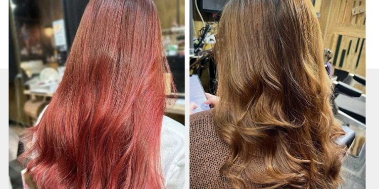 邊剪髮邊擼貓 這間新北土城髮廊讓貓奴們瘋狂打卡