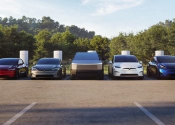 特斯拉歐洲市占腰斬 新車遲未登場、中國電動車搶市腹背受敵