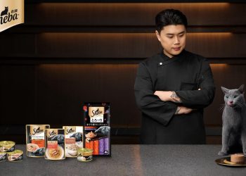 「黑白大廚」冠軍權聖晙化身貓奴  攜手Sheba希寶推薦鮮肉慕斯主食新品