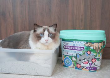 南港寵物展亮點搶先看 基因篩檢、清潔神器、萌系穿搭一次滿足