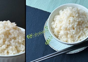 跟著營養師吃好米！台稉16號「預熟米」好吃、營養又健康！