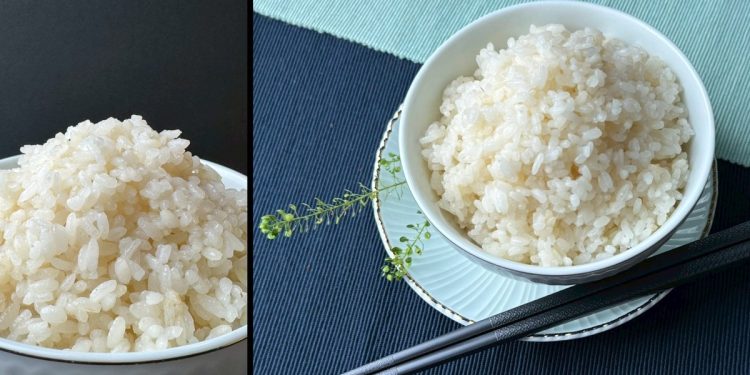 跟著營養師吃好米!台稉16號「預熟米」好吃、營養又健康!