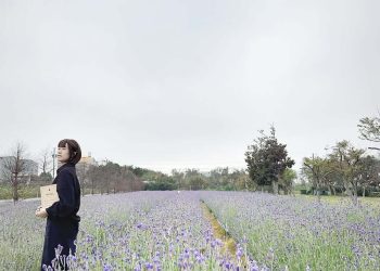 全台薰衣草景點｜來場浪漫約會吧！嚴選2025薰衣草花田推薦