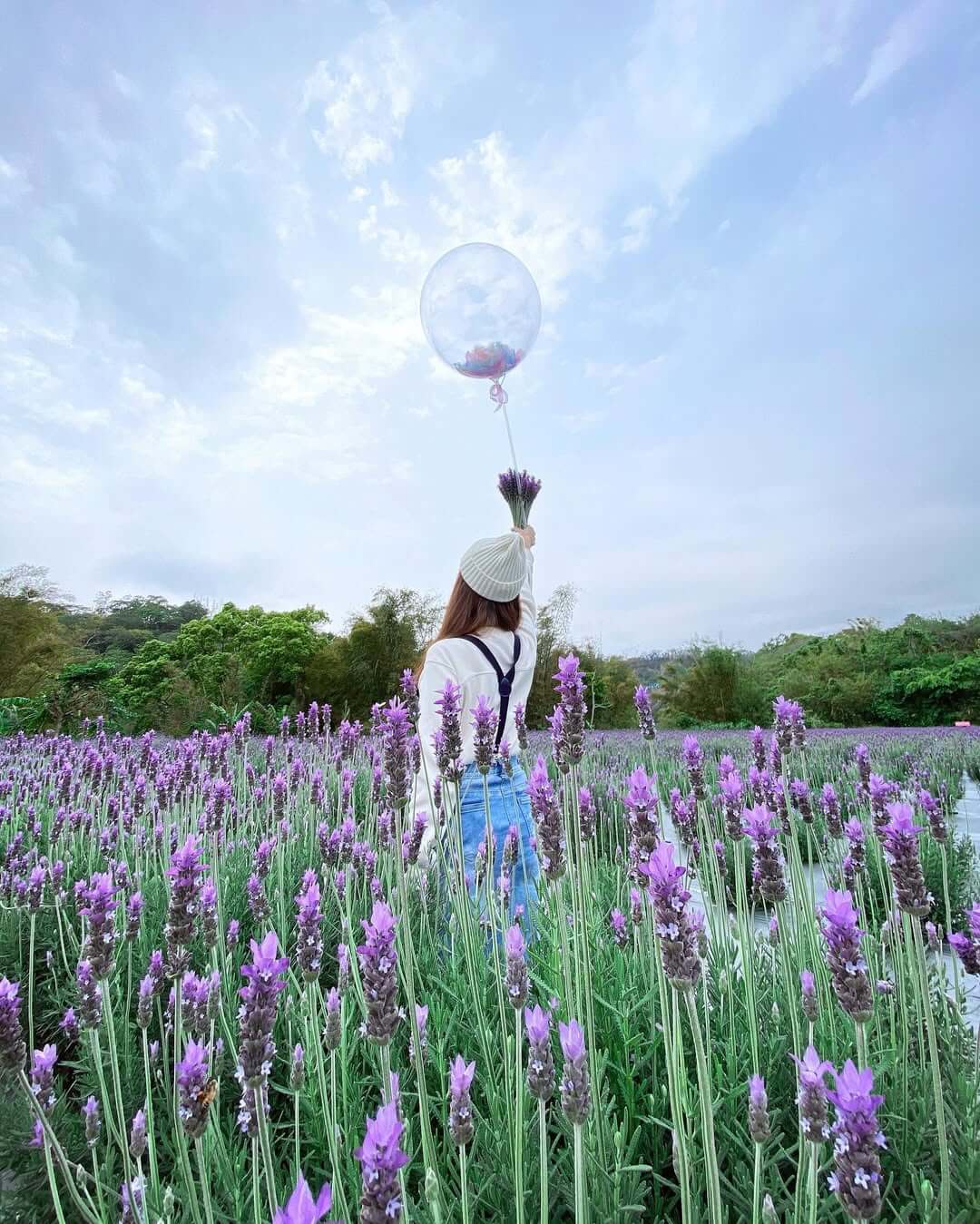 全台景點｜葛瑞絲香草田｜來場浪漫約會吧！嚴選2025薰衣草花田推薦