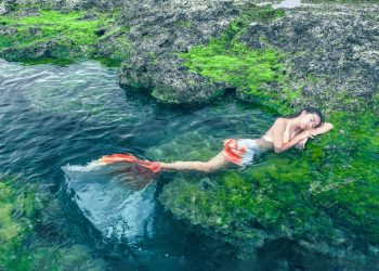 台灣小姐出征國際環保選美賽事　PSK挺身支持永續美力！