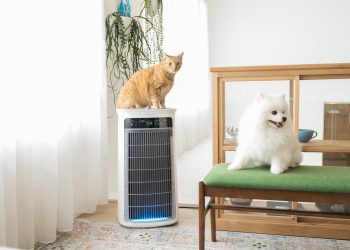 美國熱賣潮席捲台灣！吸毛大師 SoleusAir 首登台北寵物展   99.9% 除毛力征服亞洲毛爸媽