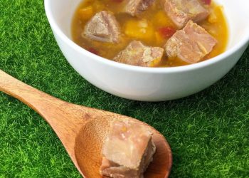 台中寵物食品推薦 HPP滅菌技術還原鮮食營養 守護毛孩健康