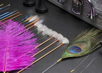 還在亂挖耳朵嗎？新北新莊采耳專業耳道清潔擺脫耳朵油膩悶塞感