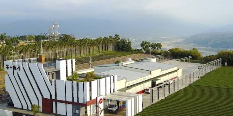 媽祖繞境首進茶葉產地名間鄉 茶之魔手五星茶廠引熱議