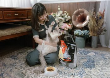 德皇后貓糧登台熱賣 高適口性與營養兼具