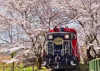 日本自由行｜在京都搭嵐山小火車、看伏見稻荷大社千本鳥居！
