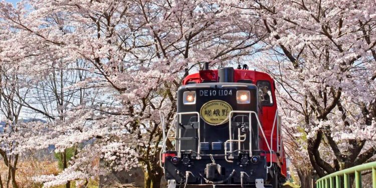 日本自由行|在京都搭嵐山小火車、看伏見稻荷大社千本鳥居!