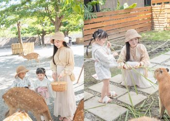 墾丁景點｜陽光燦爛國境之南景點 Top 6 必去台版最美小奈良、鹿ㄦ島與水豚君夢幻同游