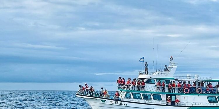 宜蘭景點|2025龜山島登島玩法全攻略 本篇快收藏 讓人讚嘆大自然巧奪天工