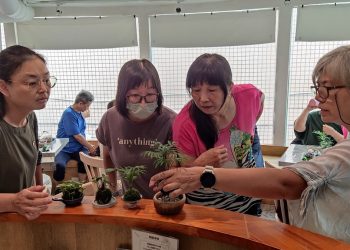 北投新住民體驗「植」感生活