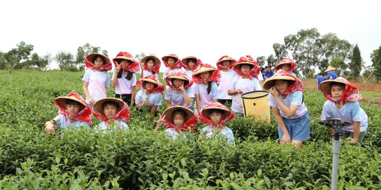 南霸天跨界教育 茶之魔手與在地國小共創「最香的畢業禮」