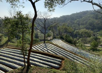 原料自己種!易廣健康培育台灣白及 打造3大優勢顛覆市場認知