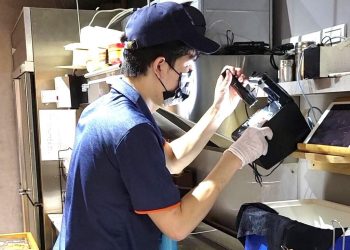 高雄除蟲公司推薦 專業防治蟑螂老鼠白蟻 一次搞定害蟲危機