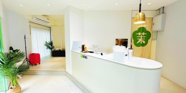 松山區手搖店推薦 台北茉莉花茶香征服老茶控與新手味蕾