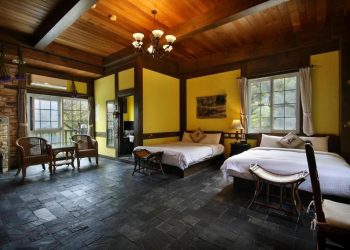 清境農場住宿推薦 南法風格南投景觀民宿 藏身高山落羽松森林間