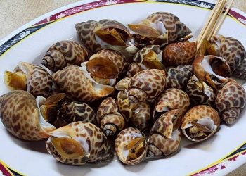 台東海鮮熱炒店推薦 大武漁港20年老店 在地人也激推必吃海產