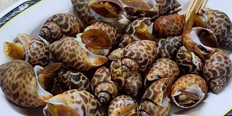 台東海鮮熱炒店推薦 大武漁港20年老店 在地人也激推必吃海產