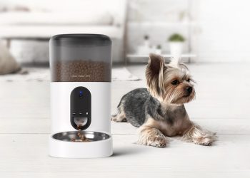 寵物自動餵食器推薦 遠端餵食、視訊監控與語音互動一次搞定