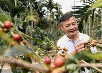 TGC咖啡莊園推動永續農業與環保友善栽培 打造咖啡產業新典範