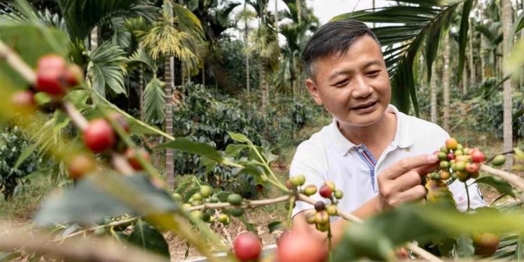 TGC咖啡莊園推動永續農業與環保友善栽培 打造咖啡產業新典範