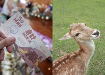 台東親子一日遊｜來鹿野不只有熱氣球可以玩 超療癒行程3大景點推薦