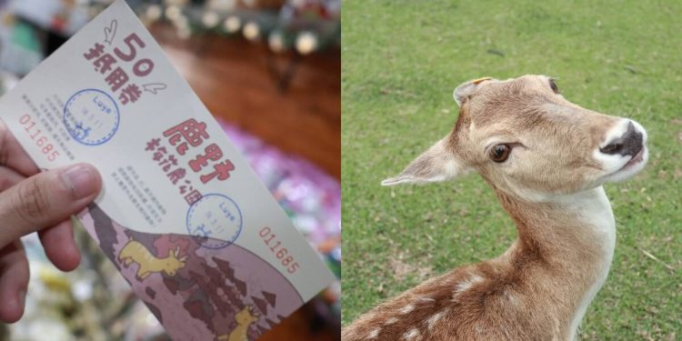 台東親子一日遊|來鹿野不只有熱氣球可以玩 超療癒行程3大景點推薦