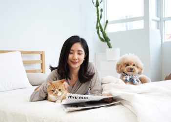 寵物新時代！《歸毛家族》推出全新保健品定期購服務 健康與便利雙贏