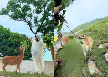 馬祖景點｜網路爆紅景點TOP5 鹿島漫步、石屋秘境、歷史與美景結合