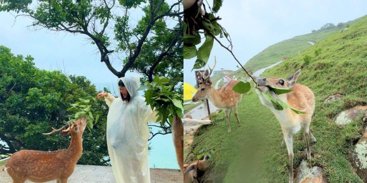 馬祖景點|網路爆紅景點TOP5 鹿島漫步、石屋秘境、歷史與美景結合