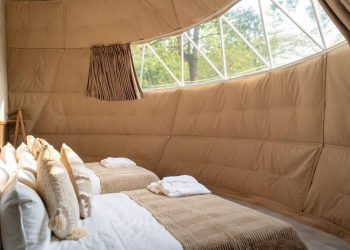 台南豪華露營首選 免搭帳篷、一泊四食吃出餐酒館級享受