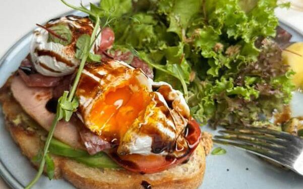 嘉義西區早午餐推薦 旅途中最暖停靠點 創意料理與在地風味剛剛好