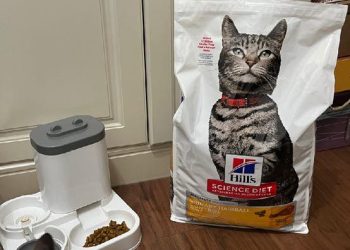 貓咪毛球吐不停？鏟屎官推爆「1神物」推：momo現在超划算!