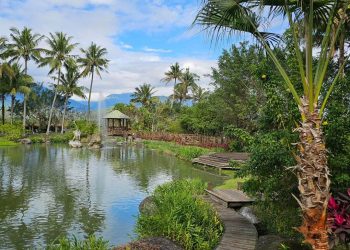 花蓮景點｜暑假消暑好去處 花蓮親子景點推薦「摸蛤仔兼洗褲」好吃好玩一次搞定