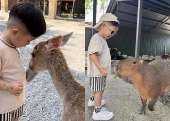 高雄景點｜親子旅行也能超療癒 解鎖高雄親子景點新玩法 搭輕軌輕鬆玩遍高雄