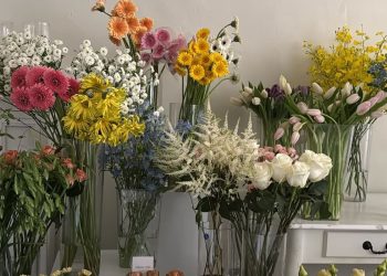 實力與溫度共融　網路百大商家引領品牌價值新浪潮