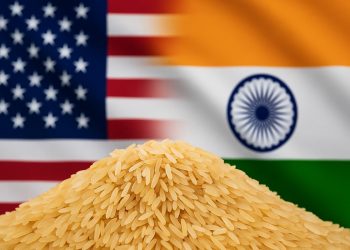 美國關稅大限倒數 印度面臨農業開放壓力、談判緊迫