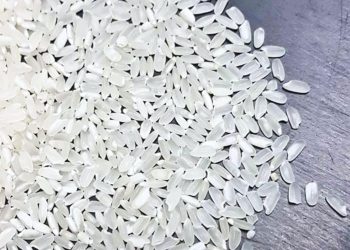 花蓮小農米全台熱銷【御見好米】得獎有機米宅配到你家
