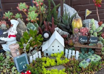 「玩藝空間 攜手共創」在廖偉恩執行長帶領下 千人共築慢生活溫馨社群