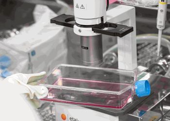 細胞治療去中心化成趨勢 前醫後廠降本增效