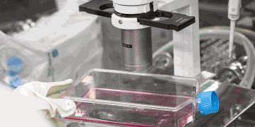 細胞治療去中心化成趨勢 前醫後廠降本增效