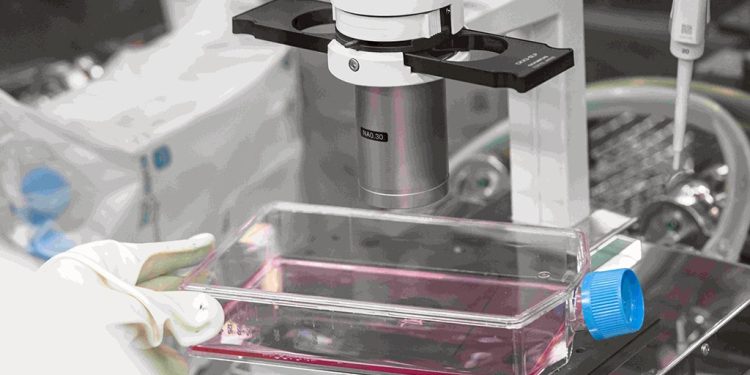 細胞治療去中心化成趨勢 前醫後廠降本增效