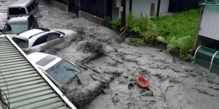 愛爾麗捐500萬攜手企業與藝人 專款助光復災後重建