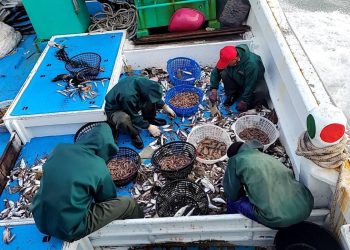 彰化縣西海產店推薦 塭仔漁港現撈海鮮 新鮮直送餐桌