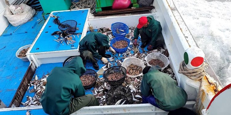 彰化縣西海產店推薦 塭仔漁港現撈海鮮 新鮮直送餐桌