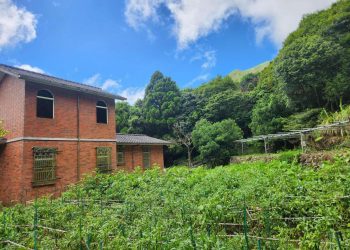 陽明山竹子湖美食推薦 陽明山賞花必訪景觀餐廳季節限定花景